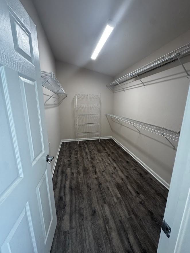 495 Painted Leaf Dr - Photo 7 of 11