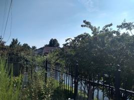 featured image of 1685 Beaver Trail Dr