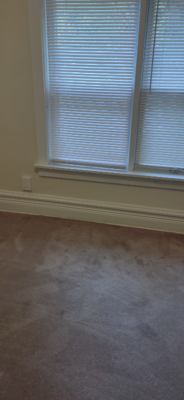 115 No. 5Th St. St. Charles - Photo 5 of 13