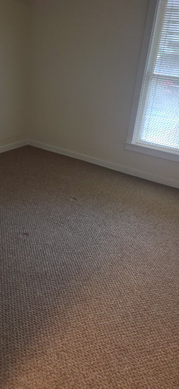 115 No. 5Th St. St. Charles - Photo 6 of 13