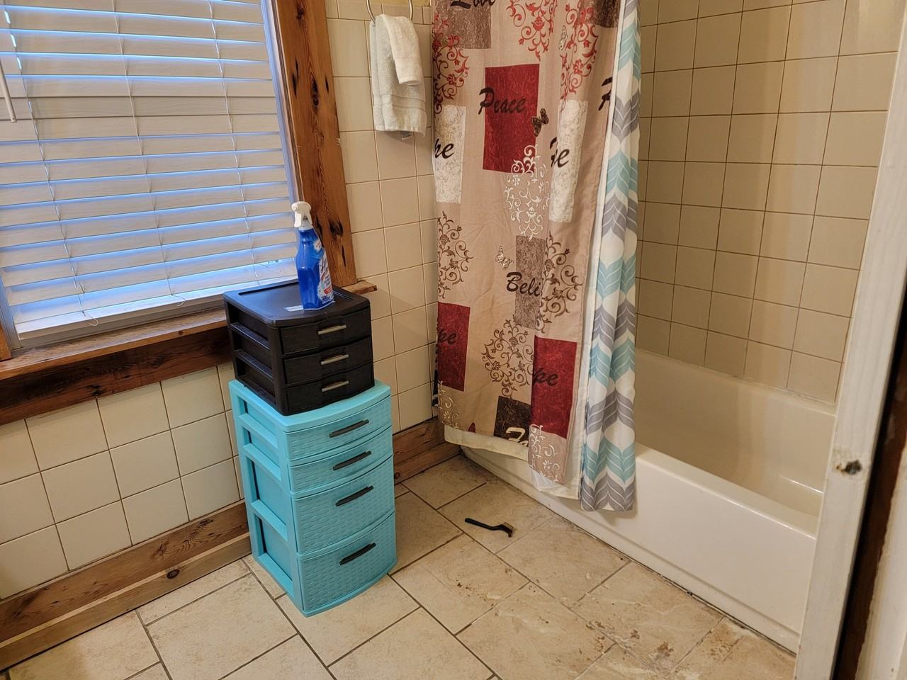 8416 Brush St - Photo 6 of 12