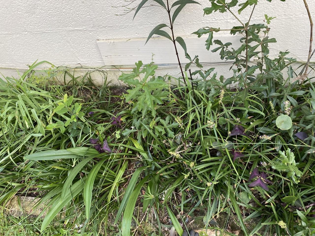 3536 Admiral Dr - Photo 4 of 15