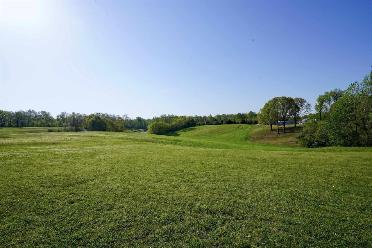 2668 Quito Drummonds Rd - Photo 3 of 12