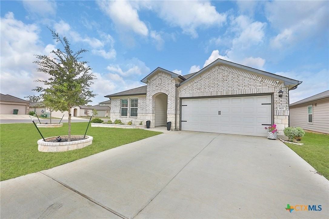 801 Cinnamon Teal - Photo 3 of 47