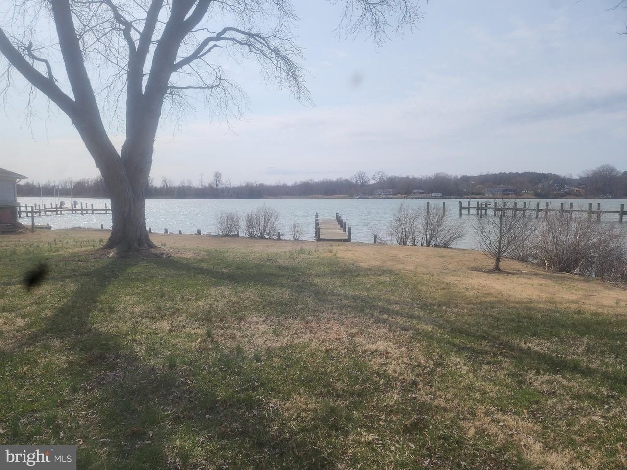 40235 Beach Dr - Photo 3 of 6