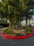 Madison Pines Apartments - Photo 1 of 1