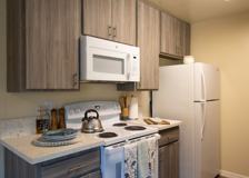 Gold Coast Apartments - Photo 1 of 1