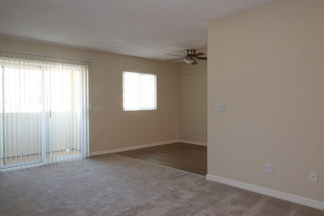 Gold Coast Apartments - Photo 3 of 10