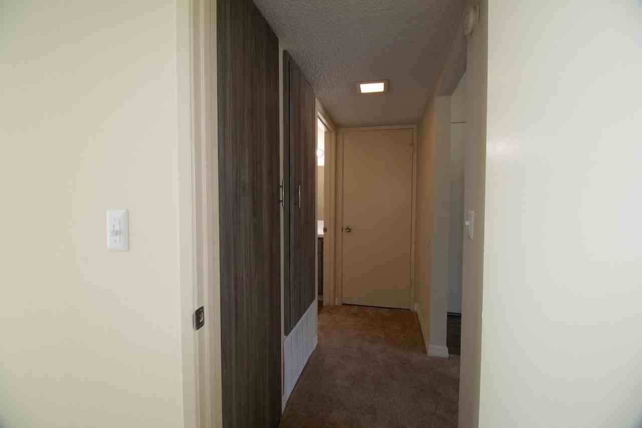 Gold Coast Apartments - Photo 4 of 10