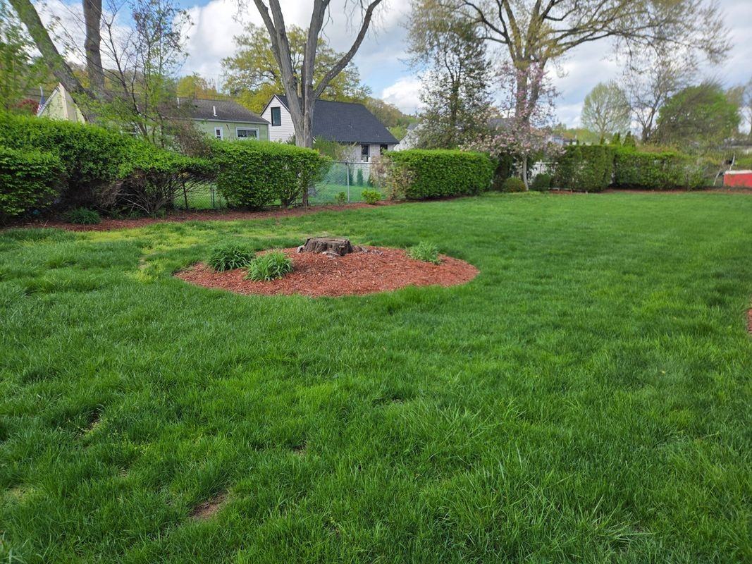 144 Raphael Rd - Photo 2 of 11