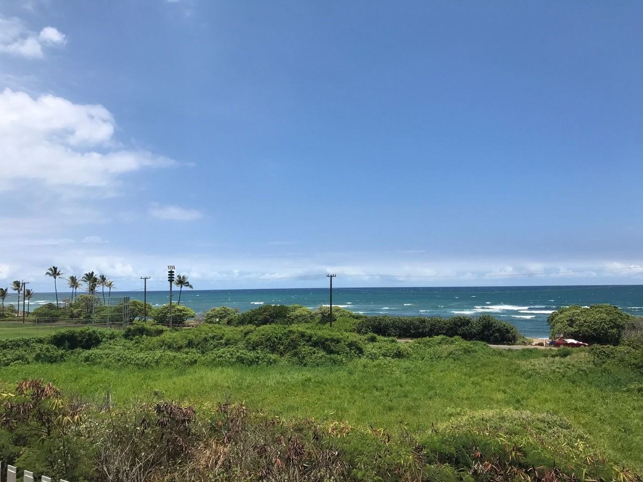 1398 Hiahia St - Photo 4 of 11