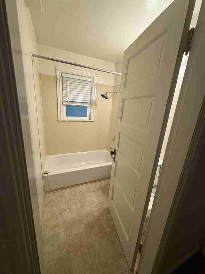 1712 F St #3 Downstairs 1bed/1bath - Photo 4 of 11