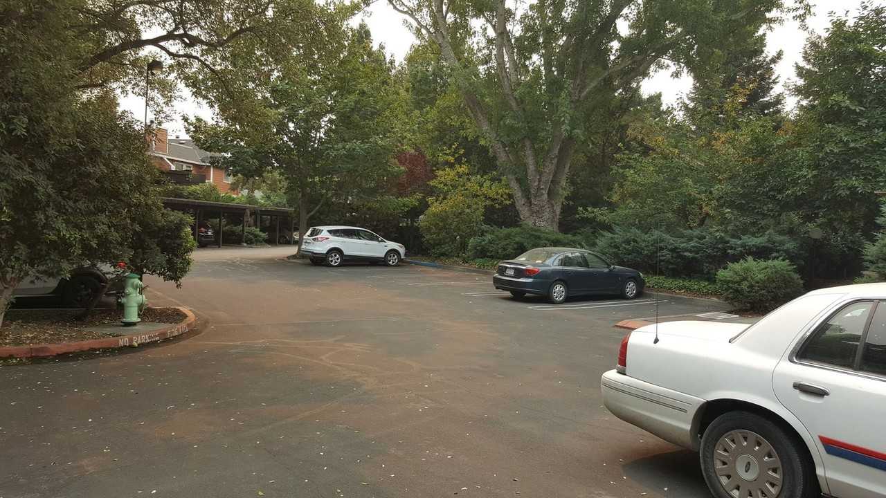 30 Arbor Ct - Photo 5 of 18