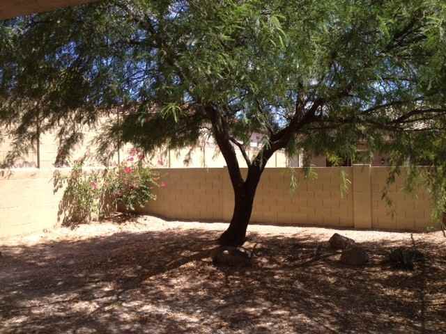 27701 N Higuera Dr - Photo 3 of 33