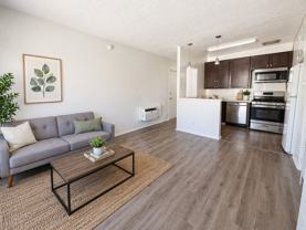 1125, 1133 & 1137 W. 36th Place - Photo 1 of 1