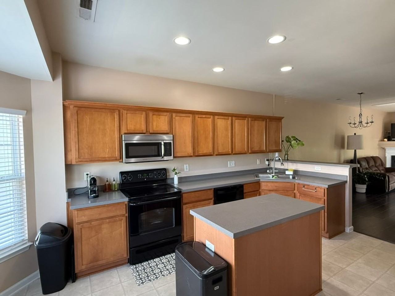 1675 Snowmass Way - Photo 6 of 19