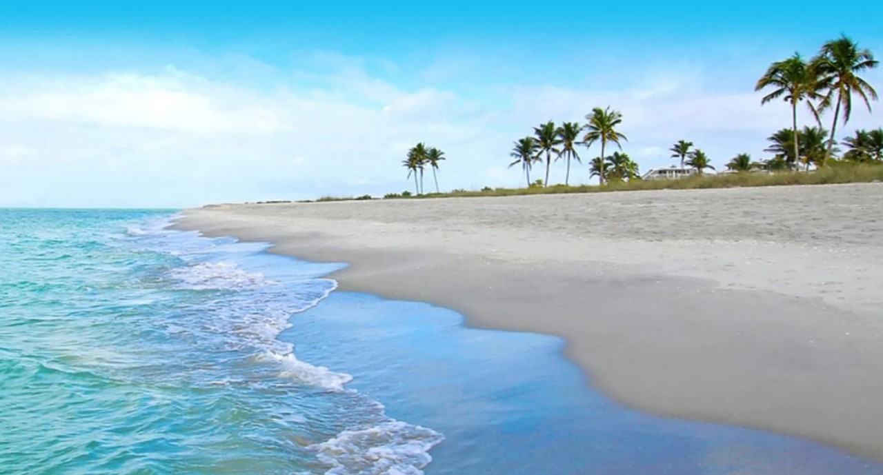 2200 Arielle Dr #1005 - Photo 3 of 34