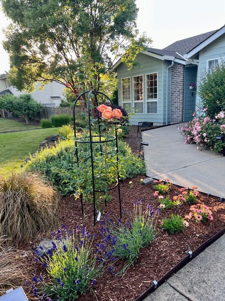 11014 Ne 197th St - Photo 5 of 34