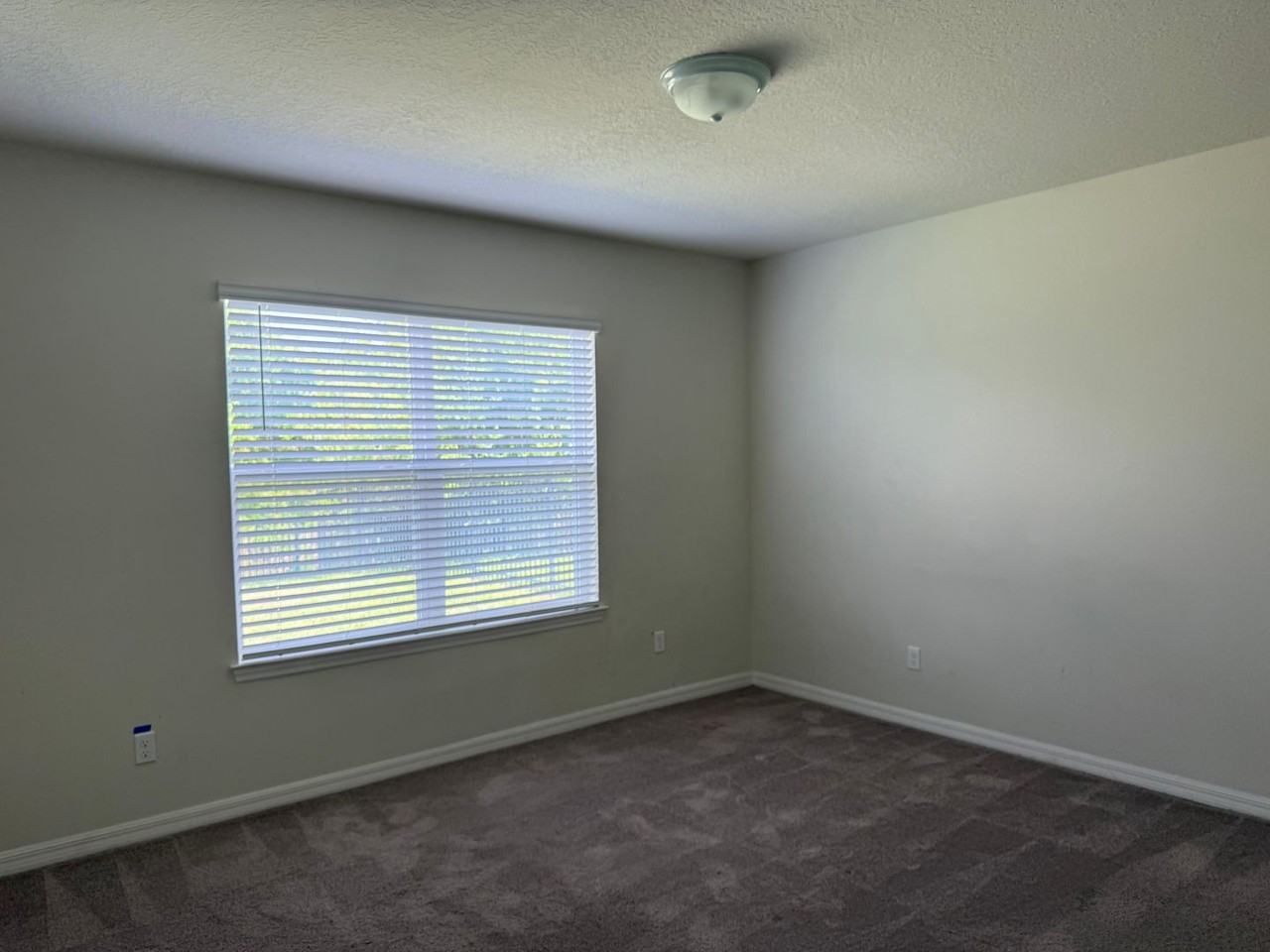 5203 Northern Flicker Dr - Photo 5 of 16