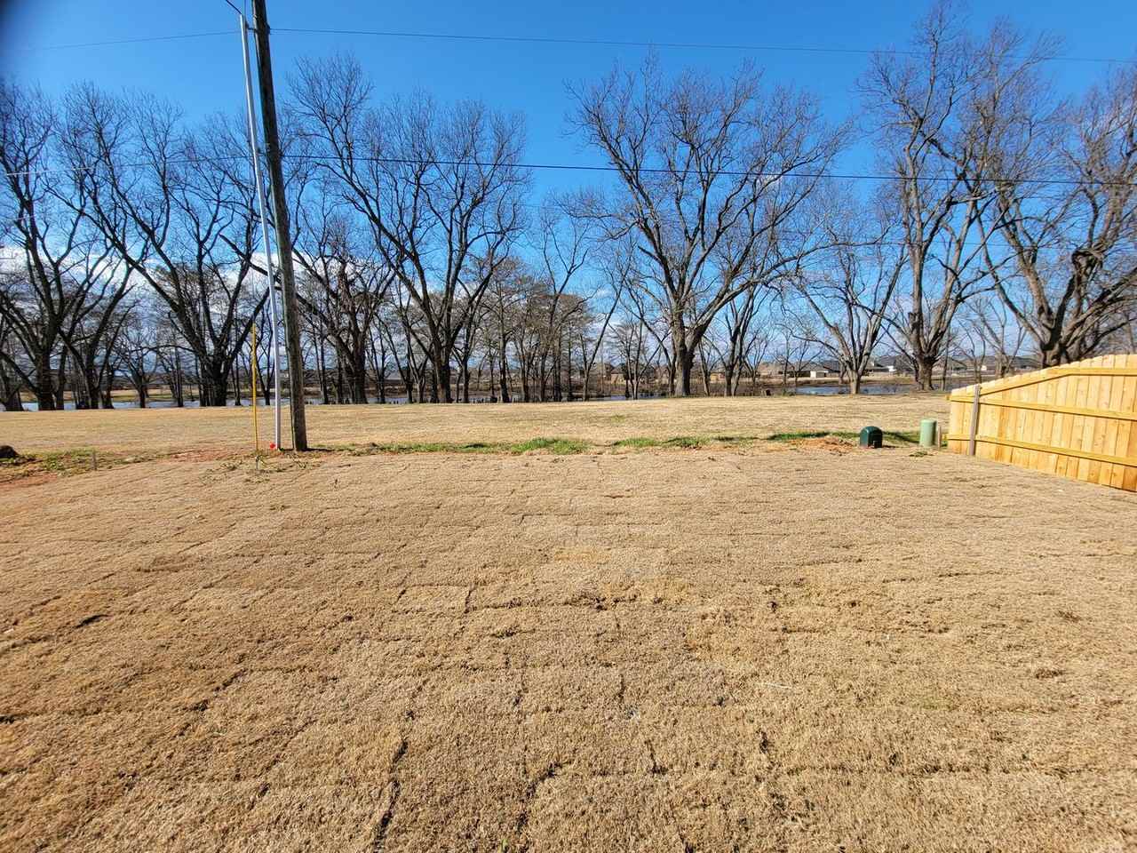 418 Mangrove Ln - Photo 4 of 5