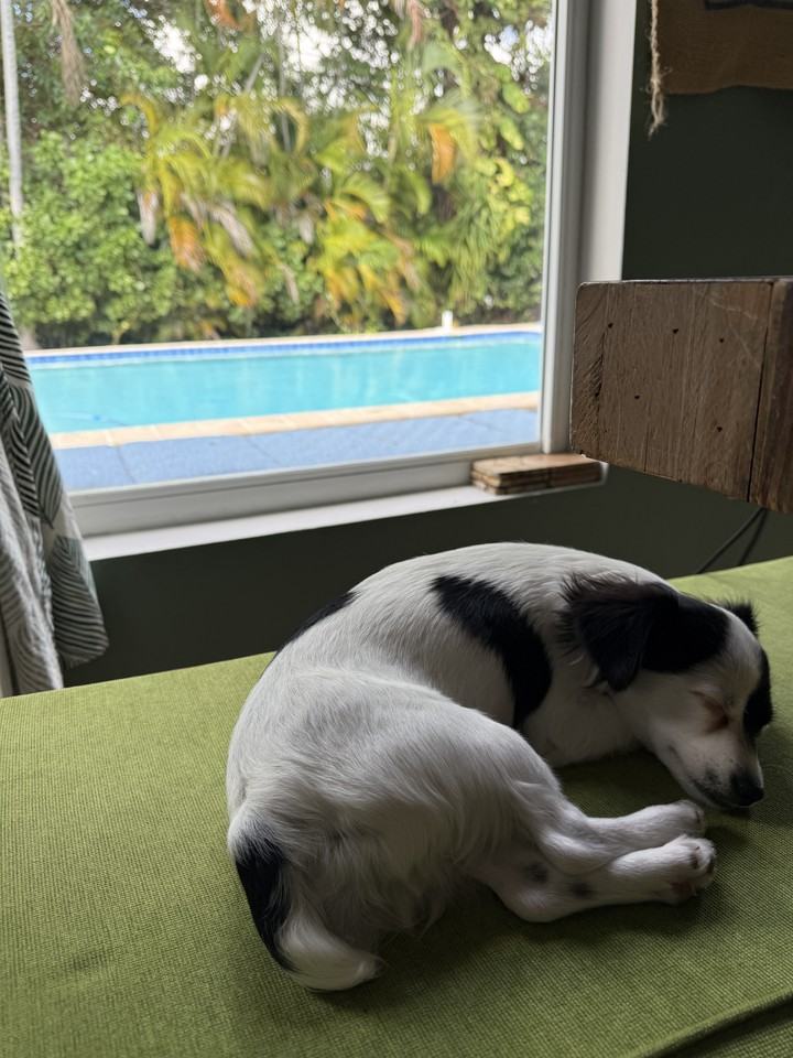 1540 Sw 74th Ct #NA - Photo 2 of 20