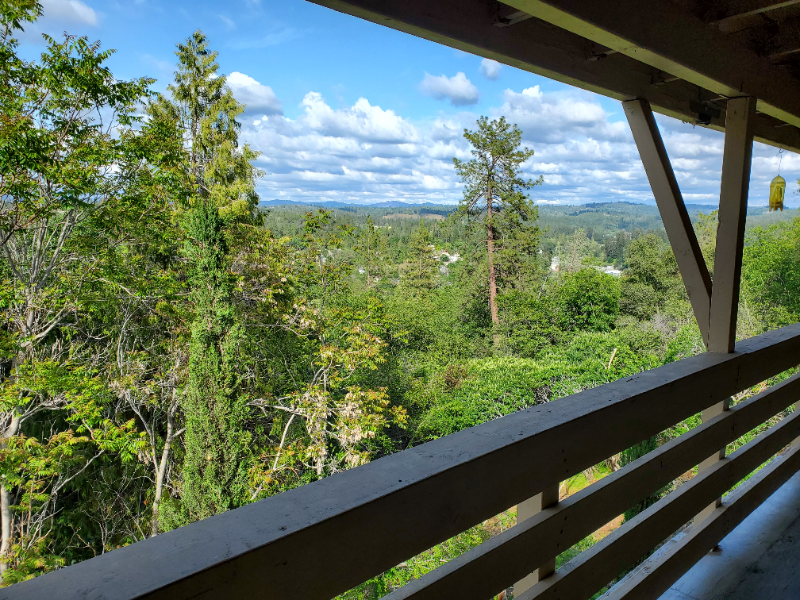 3010 Traci Ct - Photo 2 of 17