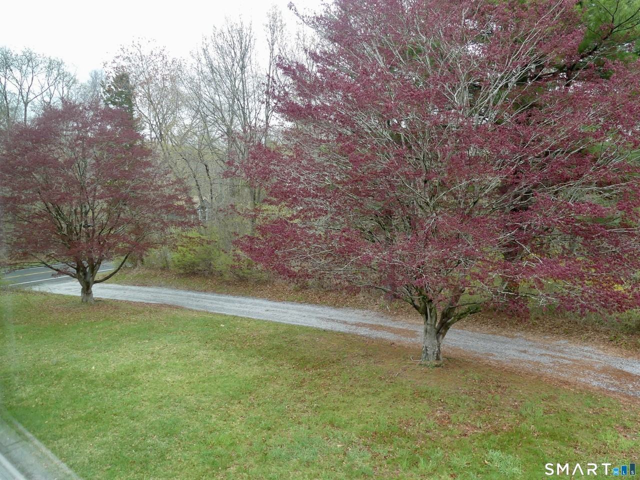 21 Winthrop Rd - Photo 3 of 18