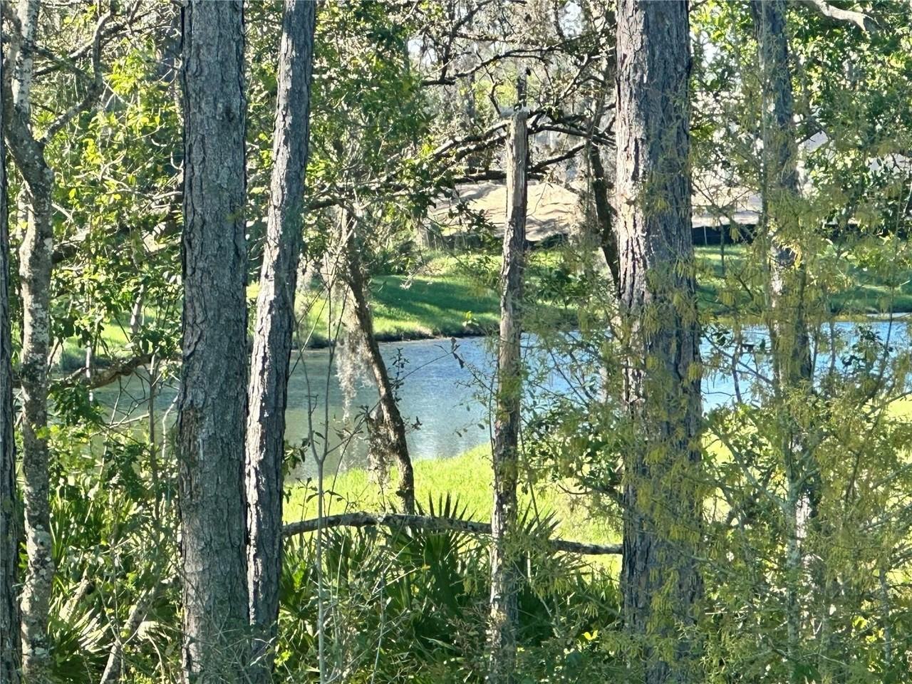 18386 Oliver Twist Way - Photo 2 of 32