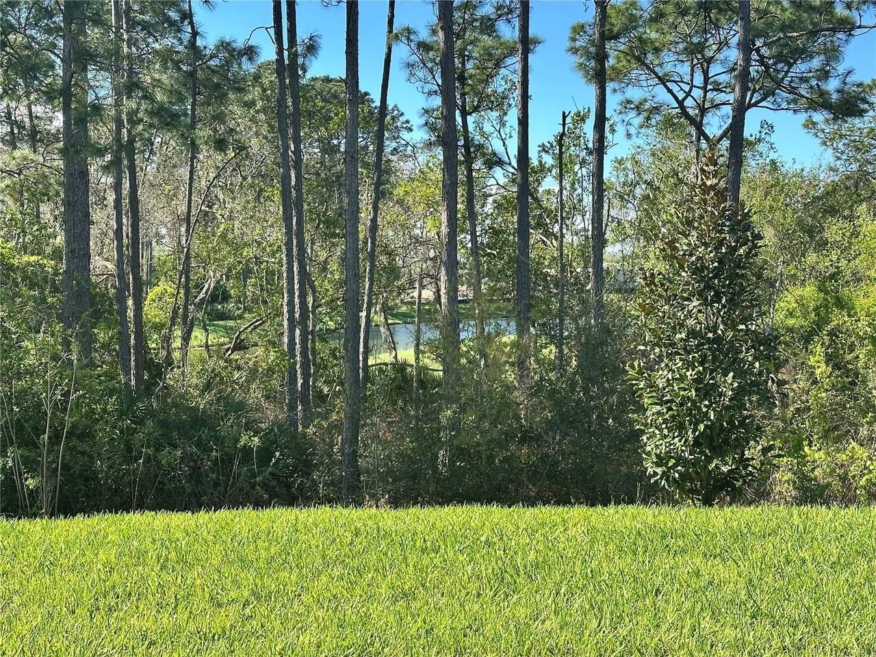 18386 Oliver Twist Way - Photo 3 of 32