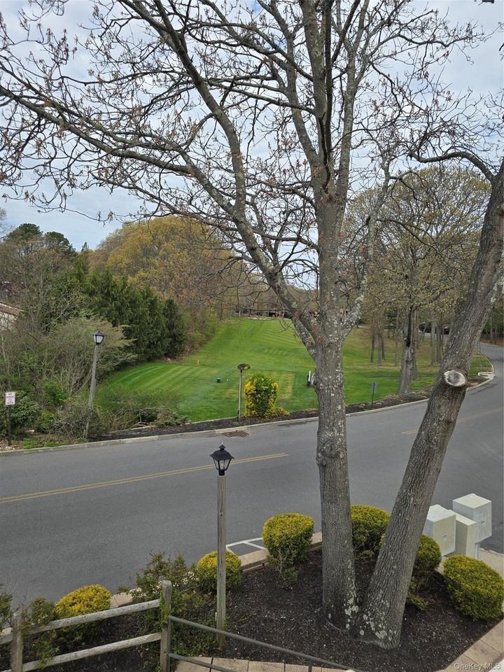 79 Birchwood Rd - Photo 3 of 14