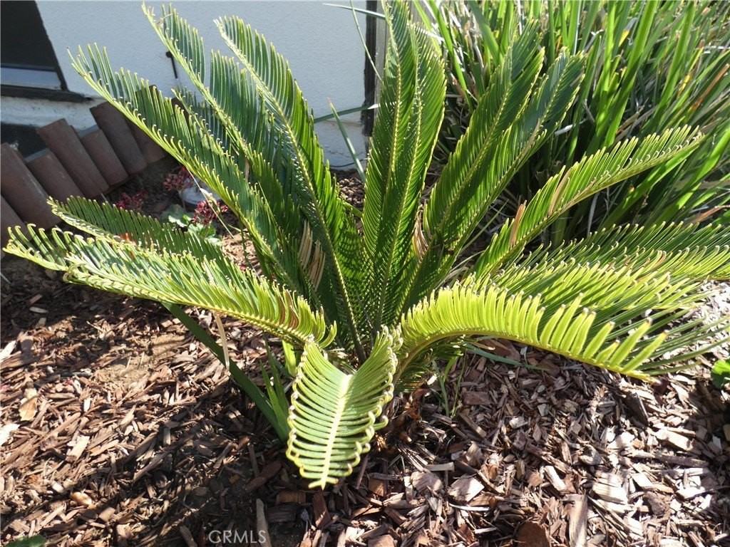 1351 Kevin Ave - Photo 3 of 46