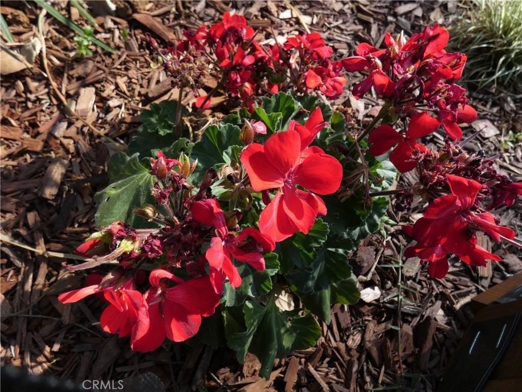 1351 Kevin Ave - Photo 5 of 46