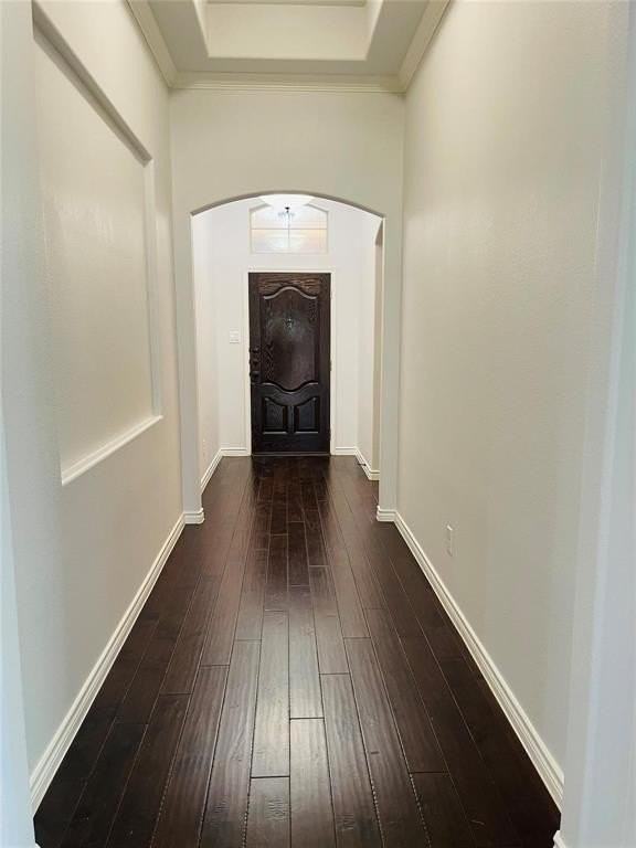 816 Cypress Hill Dr - Photo 7 of 25