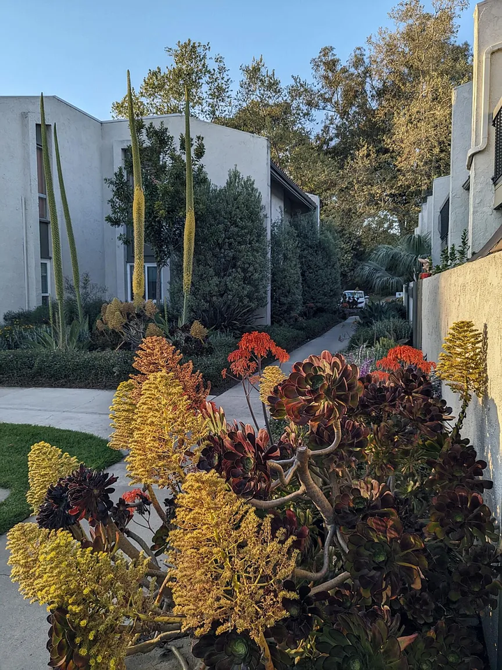 5510 Armitos Ave #6 - Photo 5 of 22