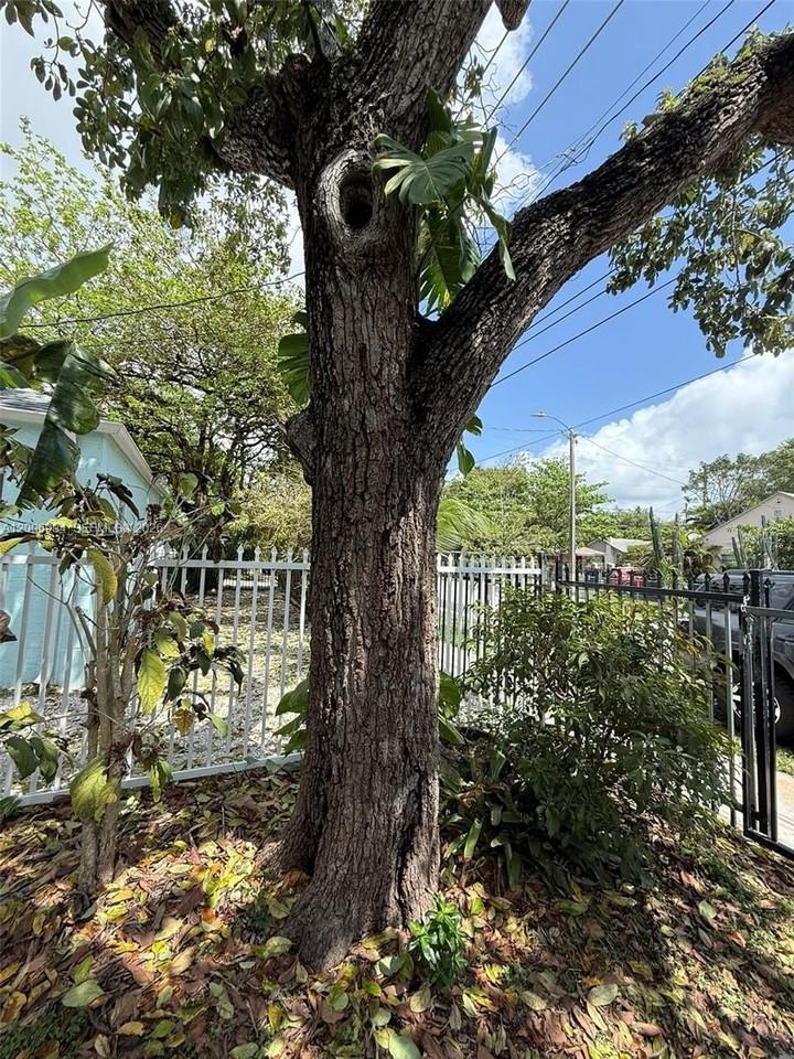 294 Ne 57th St #1 - Photo 5 of 16