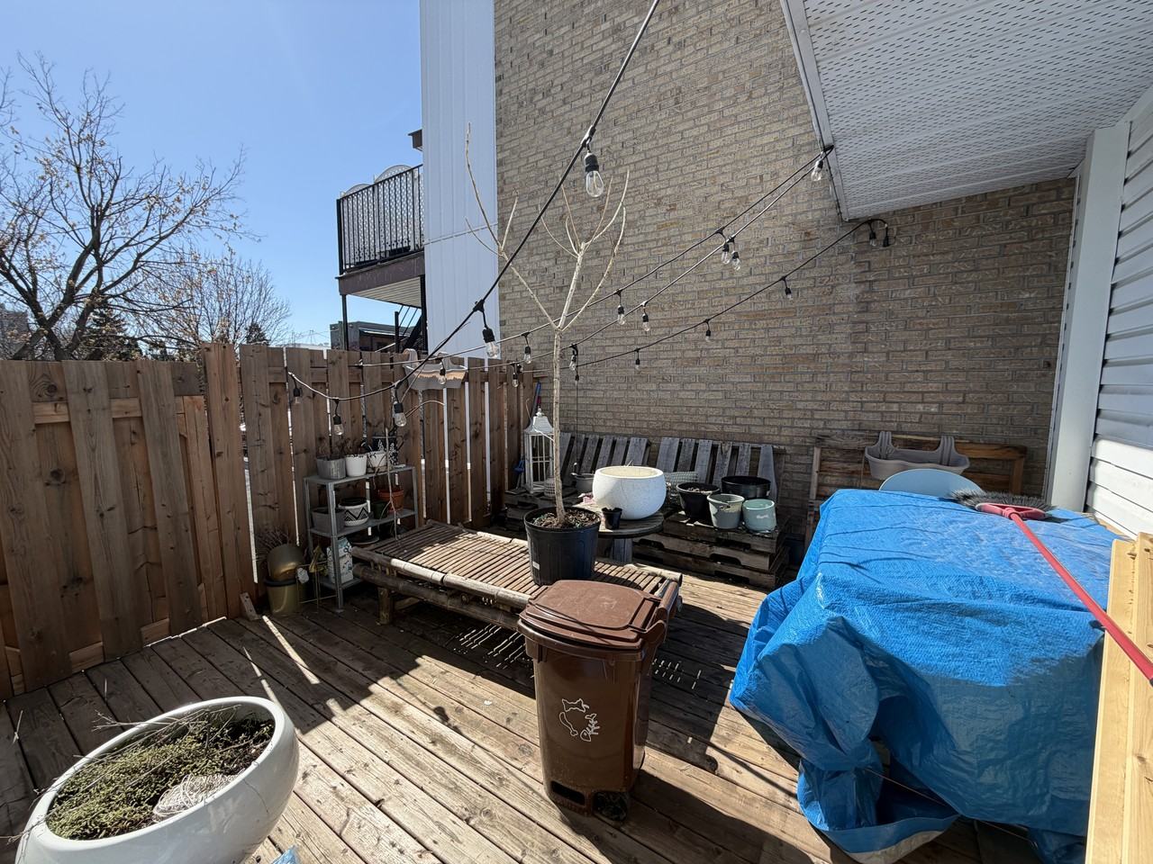 1140 Avenue du Mont-Royal Est - Photo 3 of 8