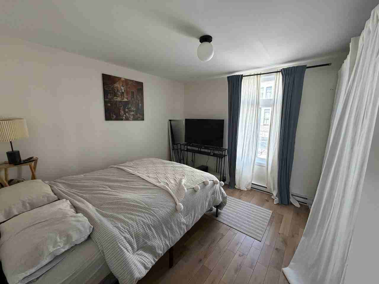 1140 Avenue du Mont-Royal Est - Photo 7 of 8