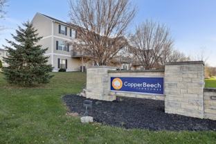 Copper Beech - Photo 1 of 1