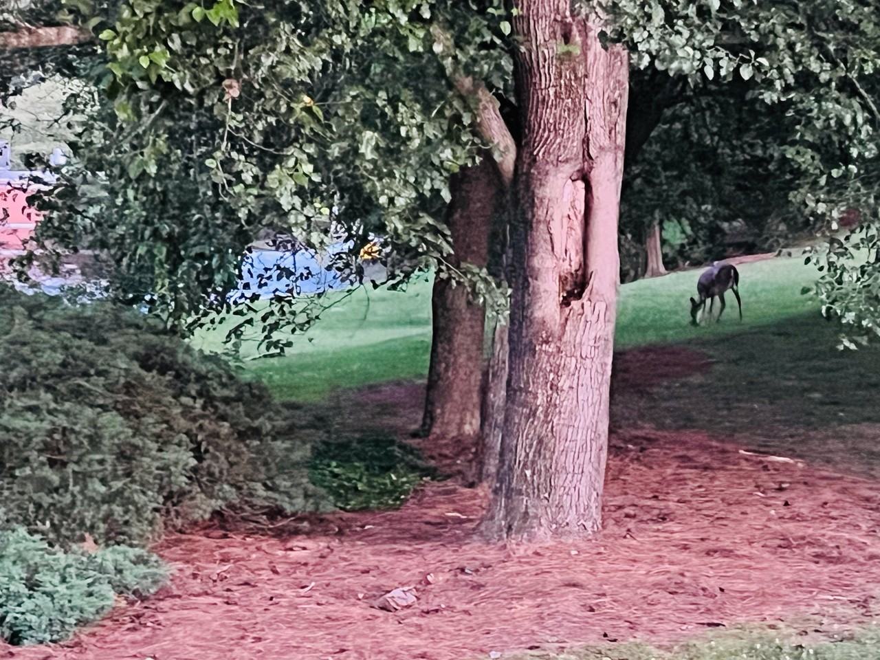 574 Manning Rd Sw - Photo 3 of 12