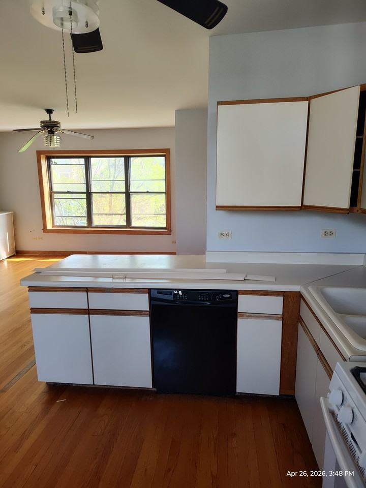 1340 W Foster Ave #1E - Photo 2 of 12