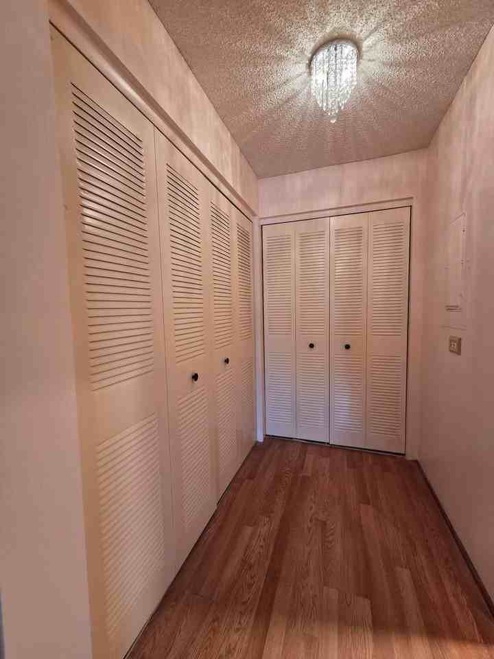 306 Palm Coast Pkwy Ne #203 - Photo 7 of 12