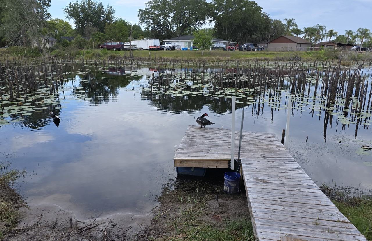 2033 Quintilis Ct #NA