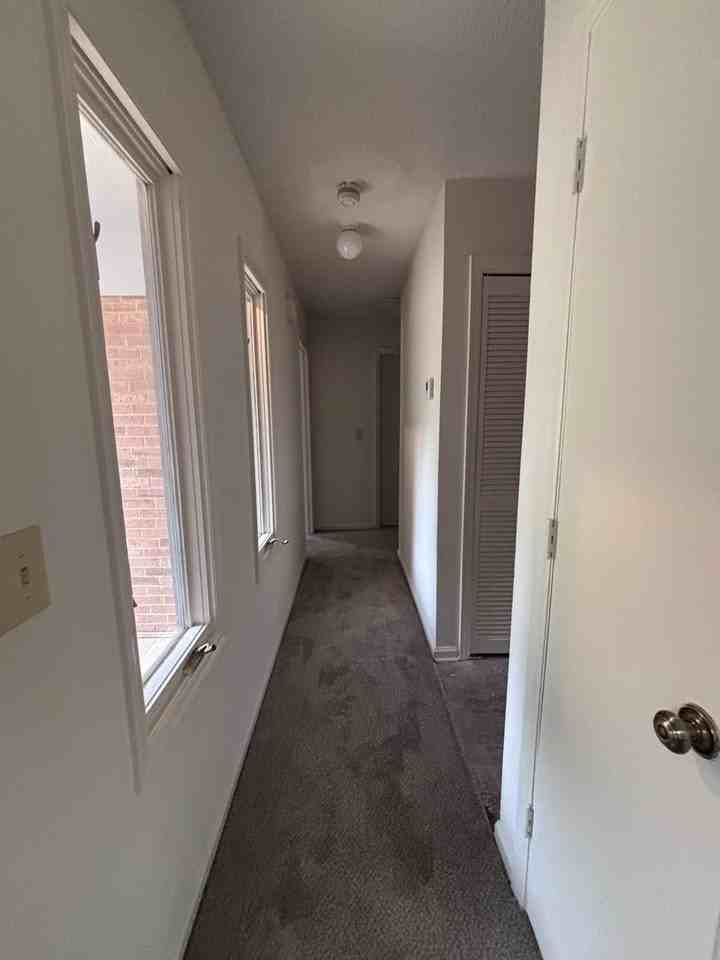 6117 Williams Rd - Photo 6 of 8