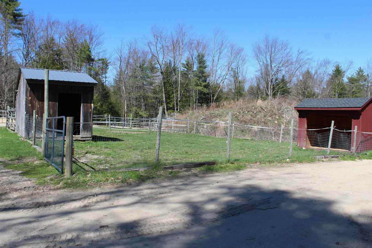 260 Bennington Rd - Photo 4 of 26