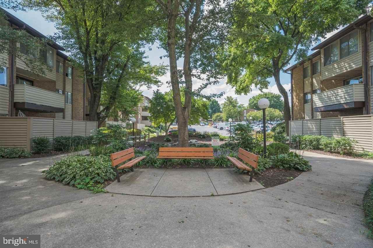 19443 Brassie Pl #19443 - Photo 2 of 19