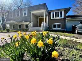 featured image of Forest Rd