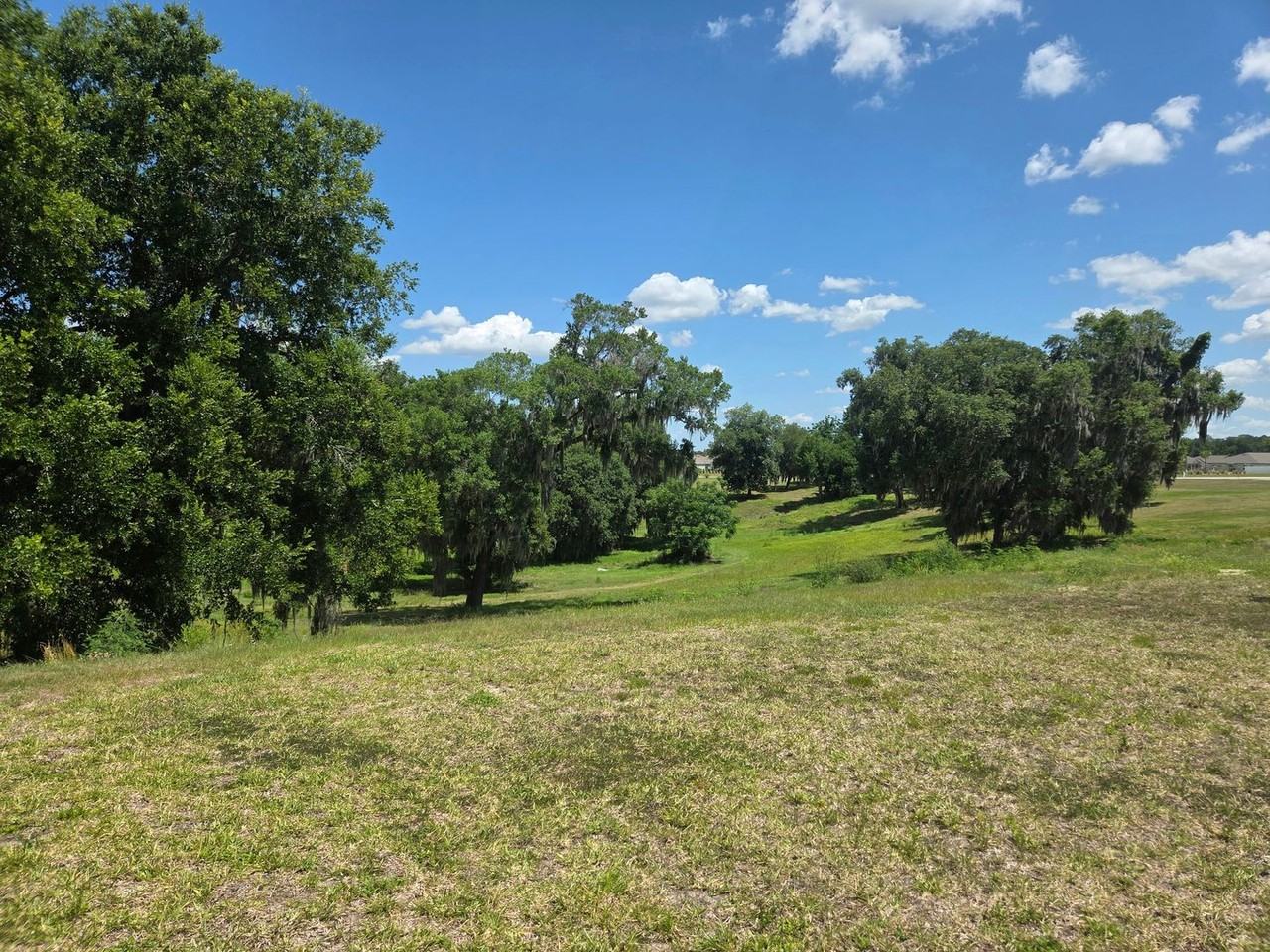 2787 Red Egret Dr - Photo 6 of 14