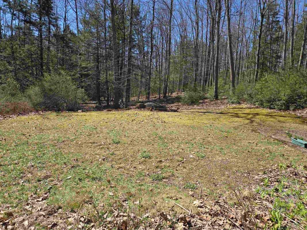 43 Casalis Rd - Photo 5 of 36