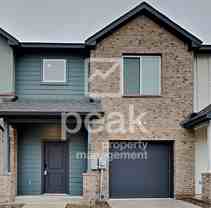 1704 Magnolia Ln - Photo 1 of 1