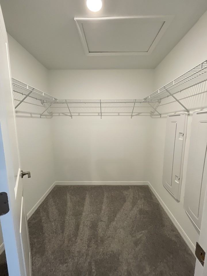 32235 Powderpuff Mimosa Dr - Photo 4 of 20